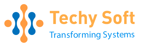 Authorized Exclusive Partner with techysofterp